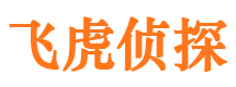 伊川市私家侦探